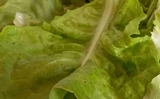 Salades en sachet, salade de pesticides, nous dit 60 Millions de consommateurs
